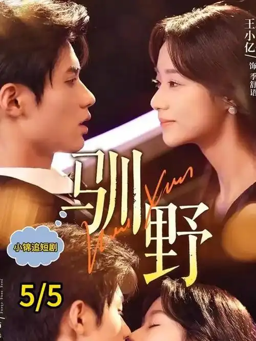 长夜将尽 免费追剧网站